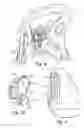 Fig. 07 - Snowboard binding and boot