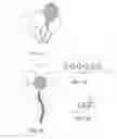 Fig. 09 - Gas inflatable balloons