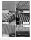 Fig. 24 - POLYMER MEMBRANES HAVING OPEN THROUGH HOLES, AND METHOD OF FABRICATION THEREOF