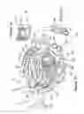 Fig. 04 - Apparatus and a method for the preparation of a play, craft and/or toy compound