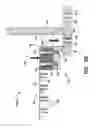 Fig. 15 - Collated T-Nut apparatus