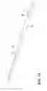 Fig. 09 - Composite tube with an embedded stranded wire and method for making the same