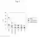 Fig. 07 - Substrate for epitaxtail, growth and method for producing same