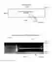 Fig. 05 - Multilayer composites comprising heat shrinkable polymers and nanofiber sheets