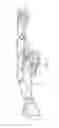 Fig. 04 - Variable rate flat spring arrangement