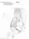 Fig. 03 - Tie rod end