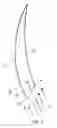 Fig. 07 - ADJUSTABLE SAIL AND A VESSEL COMPRISING SUCH A SAIL