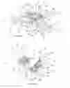 Fig. 02 - HINGE