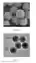 Fig. 07 - Preparation of carbon nanotube shell materials