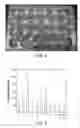 Fig. 08 - Methods and compositions for improving plant traits
