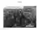 Fig. 07 - METHOD OF MANUFACTURING PRESS POLYMER-BONDED EXPLOSIVE USING POLYMER EMULSION AND PRESS POLYMER-BONDED EXPLOSIVE MANUFACTURED USING THE SAME