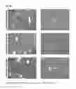 Fig. 08 - GEMCABENE, PHARMACEUTICALLY ACCEPTABLE SALTS THEREOF, COMPOSITIONS THEREOF AND METHODS OF USE THEREFOR