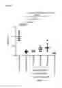 Fig. 37 - GEMCABENE, PHARMACEUTICALLY ACCEPTABLE SALTS THEREOF, COMPOSITIONS THEREOF AND METHODS OF USE THEREFOR
