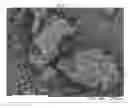 Fig. 02 - PROCESS FOR PREPARING A DIAMINE/DICARBOXYLIC ACID SALT