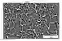 Fig. 12 - PROCESS FOR PREPARING A DIAMINE/DICARBOXYLIC ACID SALT