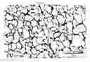 Fig. 13 - PROCESS FOR PREPARING A DIAMINE/DICARBOXYLIC ACID SALT