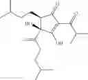 Fig. 07 - Tetrahydro-isohumulone derivatives, methods of making and using