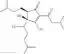Fig. 19 - Tetrahydro-isohumulone derivatives, methods of making and using