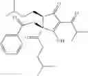 Fig. 23 - Tetrahydro-isohumulone derivatives, methods of making and using