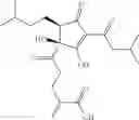 Fig. 43 - Tetrahydro-isohumulone derivatives, methods of making and using