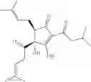 Fig. 48 - Tetrahydro-isohumulone derivatives, methods of making and using