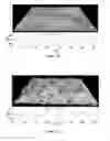 Fig. 04 - Vegetable oil-based material as a substitute for carnauba wax