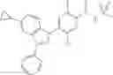 Fig. 09 - Sodium channel blockers