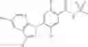 Fig. 29 - Sodium channel blockers