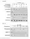 Fig. 12 - Broad spectrum antiviral compounds and uses thereof