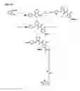Fig. 17 - Broad spectrum antiviral compounds and uses thereof
