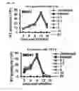 Fig. 22 - Broad spectrum antiviral compounds and uses thereof