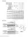 Fig. 27 - Broad spectrum antiviral compounds and uses thereof