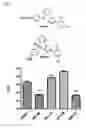 Fig. 35 - Broad spectrum antiviral compounds and uses thereof