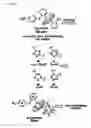 Fig. 37 - Broad spectrum antiviral compounds and uses thereof
