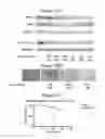 Fig. 13 - Compositions and methods for treating cancers