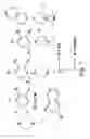 Fig. 02 - Nicotinic acetylcholine receptor silent agonists