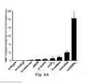 Fig. 05 - Nicotinic acetylcholine receptor silent agonists