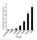 Fig. 06 - Nicotinic acetylcholine receptor silent agonists