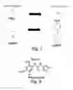 Fig. 10 - Nicotinic acetylcholine receptor silent agonists