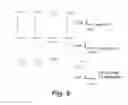 Fig. 11 - Nicotinic acetylcholine receptor silent agonists