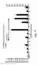Fig. 13 - Nicotinic acetylcholine receptor silent agonists