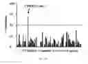 Fig. 21 - CORTISTATIN ANALOGS AND USES THEREOF
