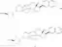 Fig. 75 - CORTISTATIN ANALOGS AND USES THEREOF