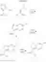 Fig. 201 - Pyrazolo[1,5a]Pyrimidine Derivatives as IRAK4 Modulators