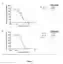 Fig. 08 - Glucose uptake inhibitors