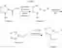 Fig. 61 - Alkyne Compounds for Treatment of Complement Mediated Disorders