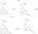Fig. 80 - Alkyne Compounds for Treatment of Complement Mediated Disorders