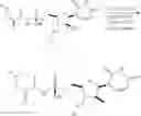 Fig. 98 - Synthesis of phosphoramidates