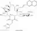 Fig. 1069 - Macrolides and methods of their preparation and use