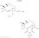 Fig. 28 - Macrolides and methods of their preparation and use